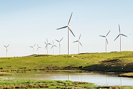Image of wind farm with clear blue skies