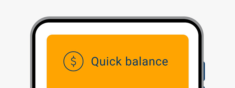 An image showing the quick balance options in the app.