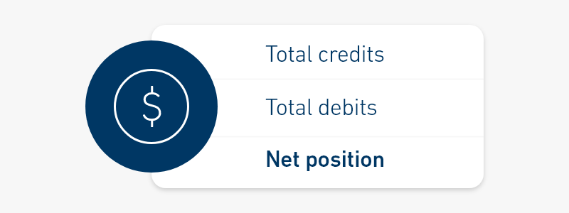 A list of ways to display account status; net position is highlighted.